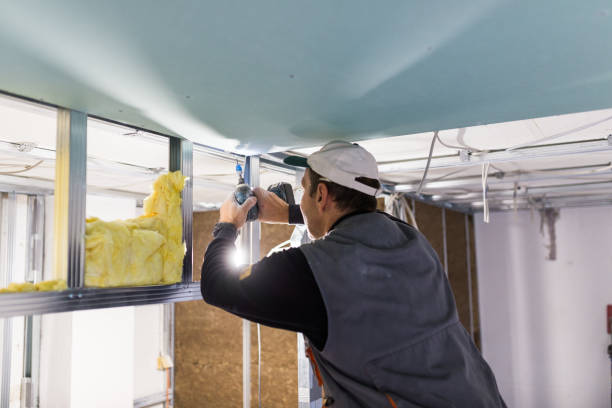 Best Garage Insulation  in North Sarasota, FL