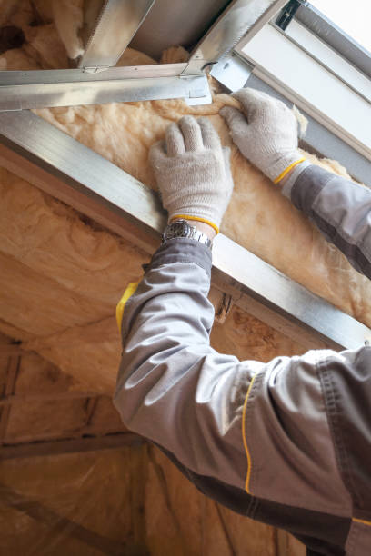 Best Fireproof Insulation  in North Sarasota, FL