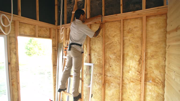 Best Batt and Roll Insulation  in North Sarasota, FL